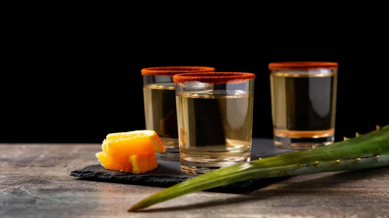 WhatsApp Image 2025-10-07 at 6.04.11 PM.jpeg