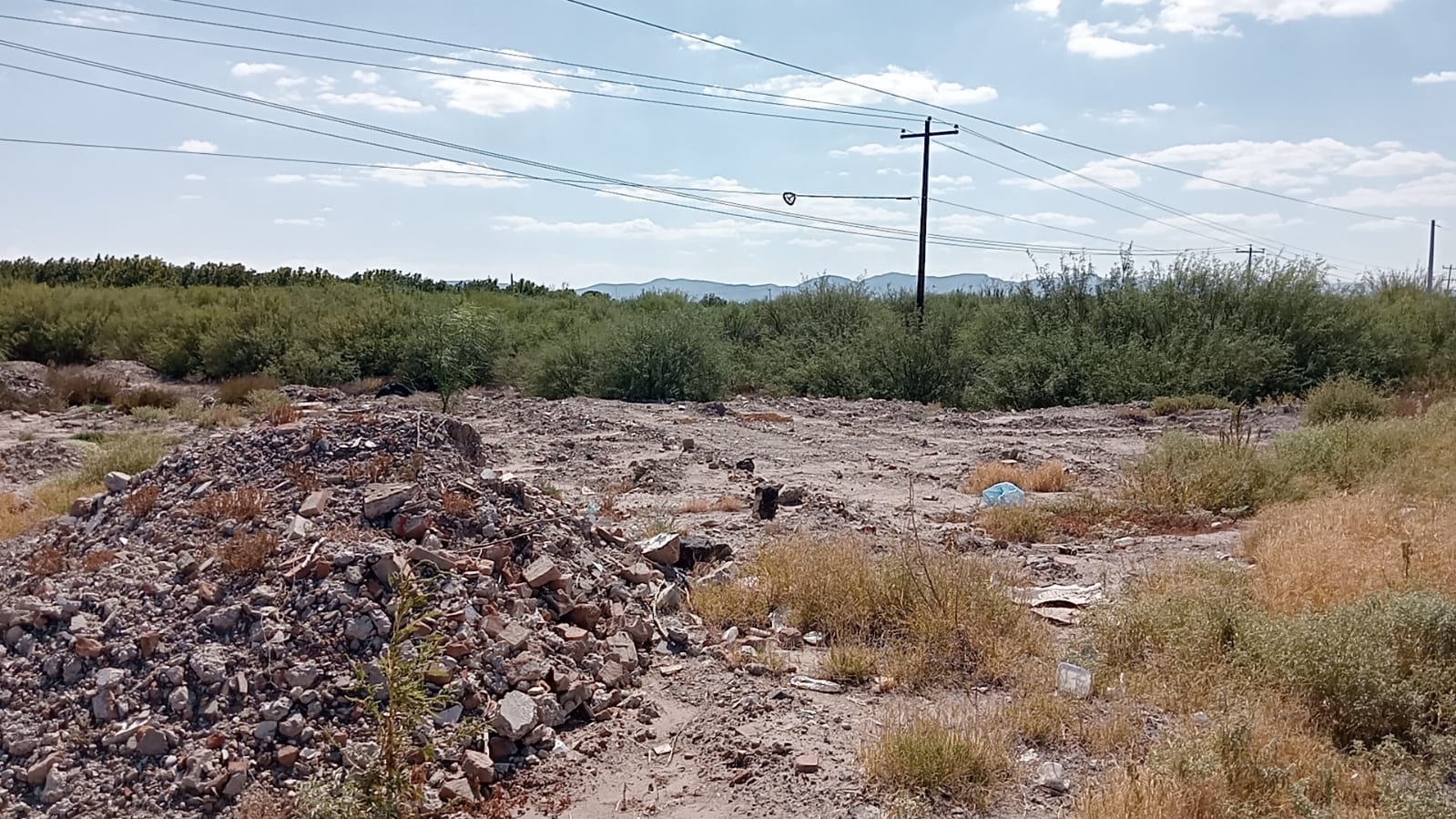 WhatsApp Image 2025-10-07 at 8.43.39 PM.jpeg