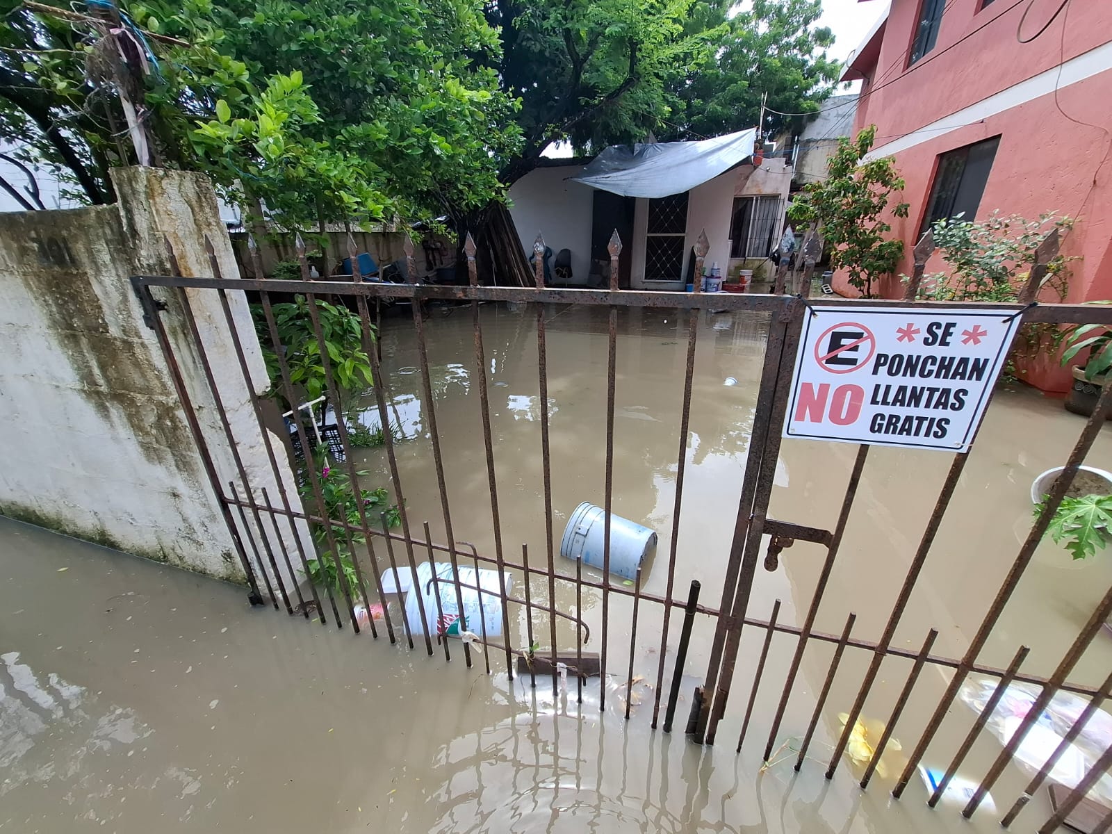 WhatsApp Image 2025-10-08 at 4.28.43 PM (1).jpeg