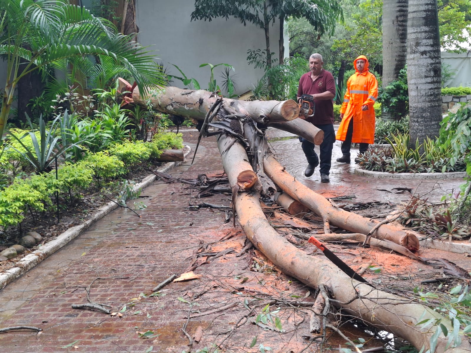 WhatsApp Image 2025-10-08 at 4.28.43 PM (2).jpeg