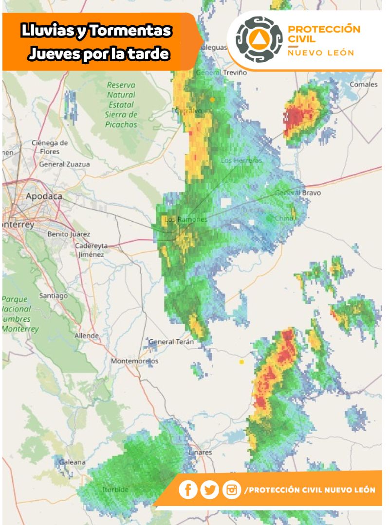 WhatsApp Image 2025-10-09 at 2.29.37 PM.jpeg