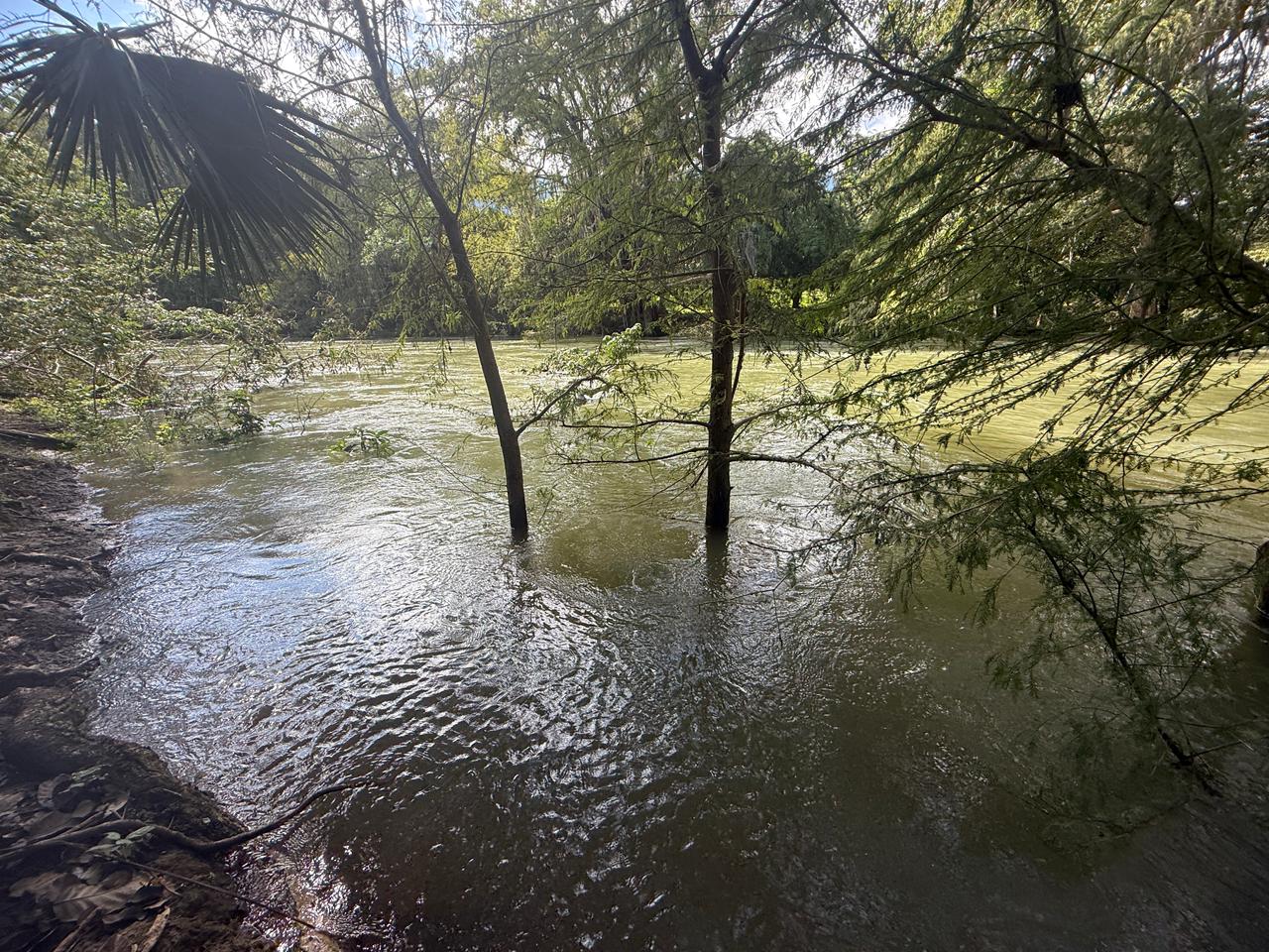 WhatsApp Image 2025-10-11 at 2.24.57 PM (1).jpeg