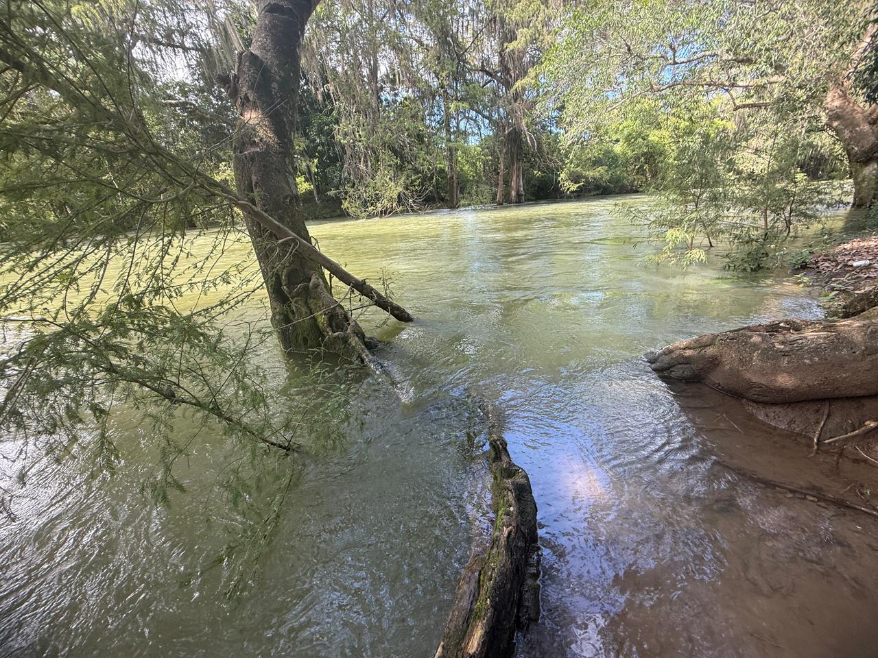 WhatsApp Image 2025-10-11 at 2.24.57 PM.jpeg