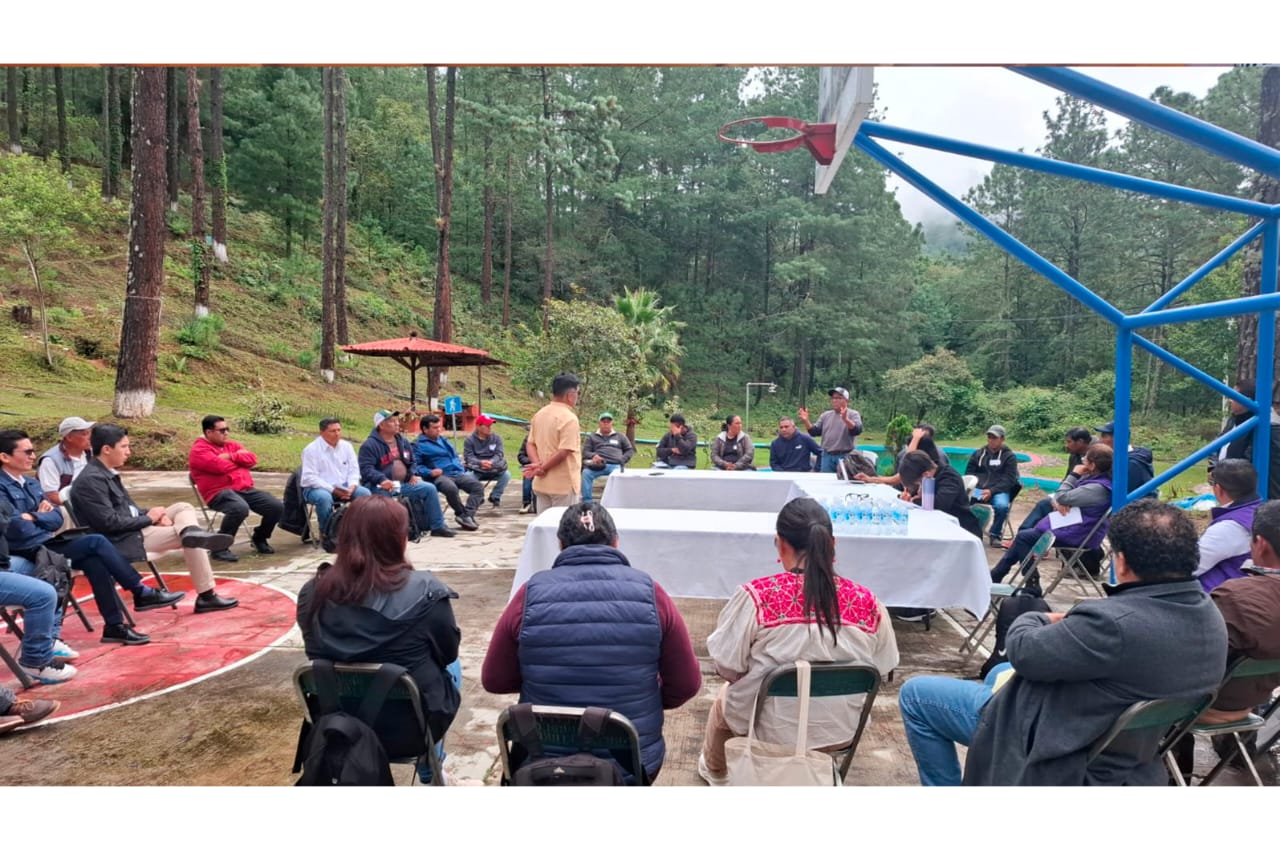 WhatsApp Image 2025-10-13 at 10.29.12 PM.jpeg