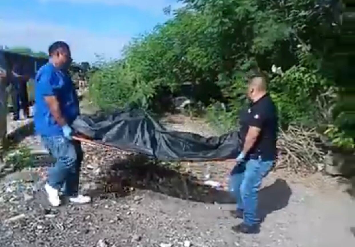 WhatsApp Image 2025-10-15 at 2.39.07 PM (1).jpeg