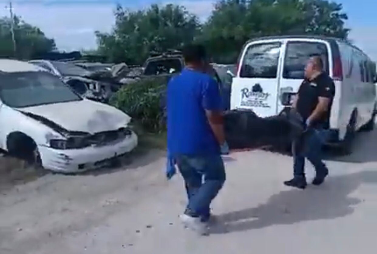 WhatsApp Image 2025-10-15 at 2.39.08 PM.jpeg