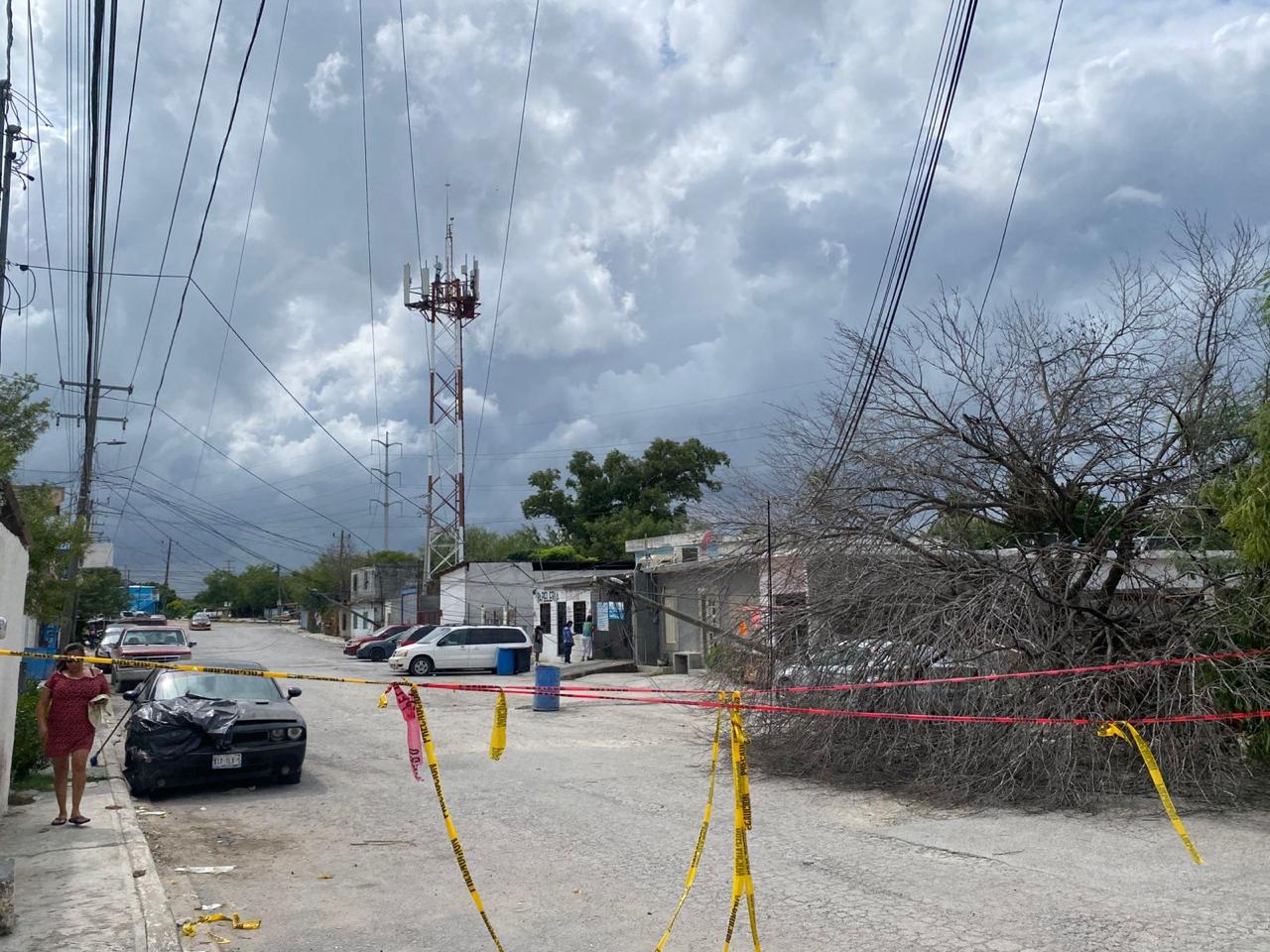 WhatsApp Image 2025-10-15 at 2.39.09 PM.jpeg