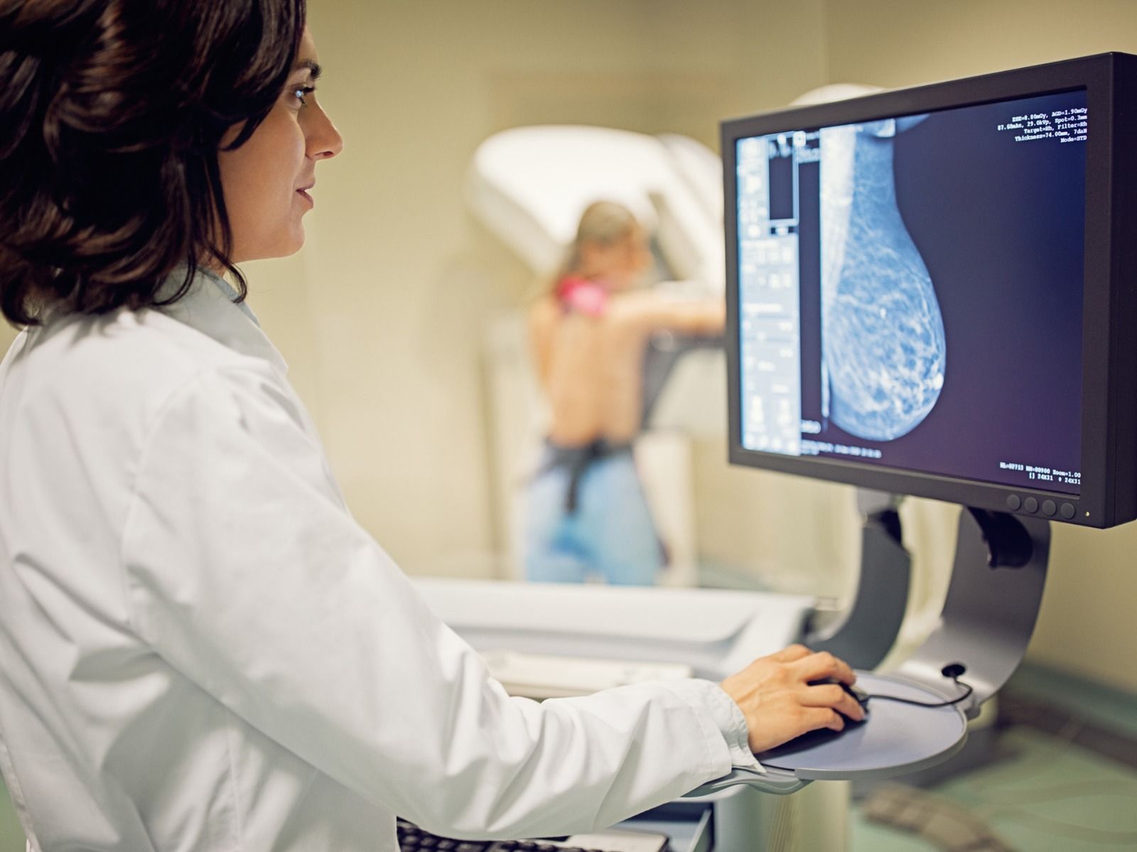 WhatsApp Image 2025-10-16 at 2.23.07 PM.jpeg