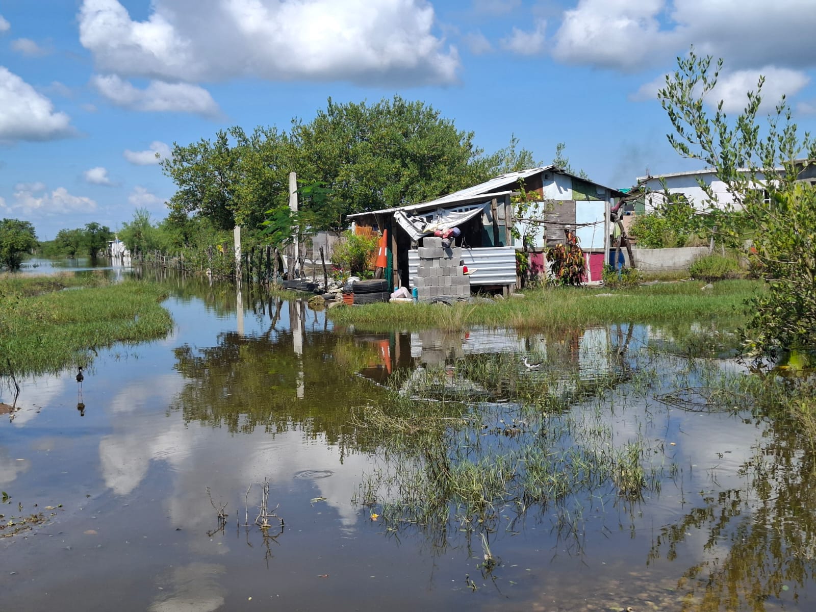 WhatsApp Image 2025-10-16 at 6.56.05 PM.jpeg