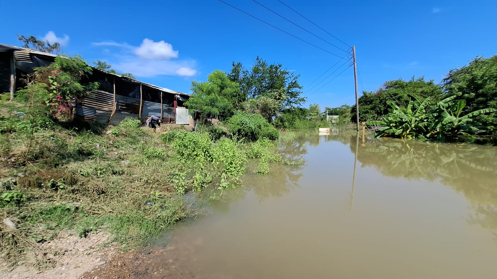 WhatsApp Image 2025-10-17 at 6.57.01 PM.jpeg