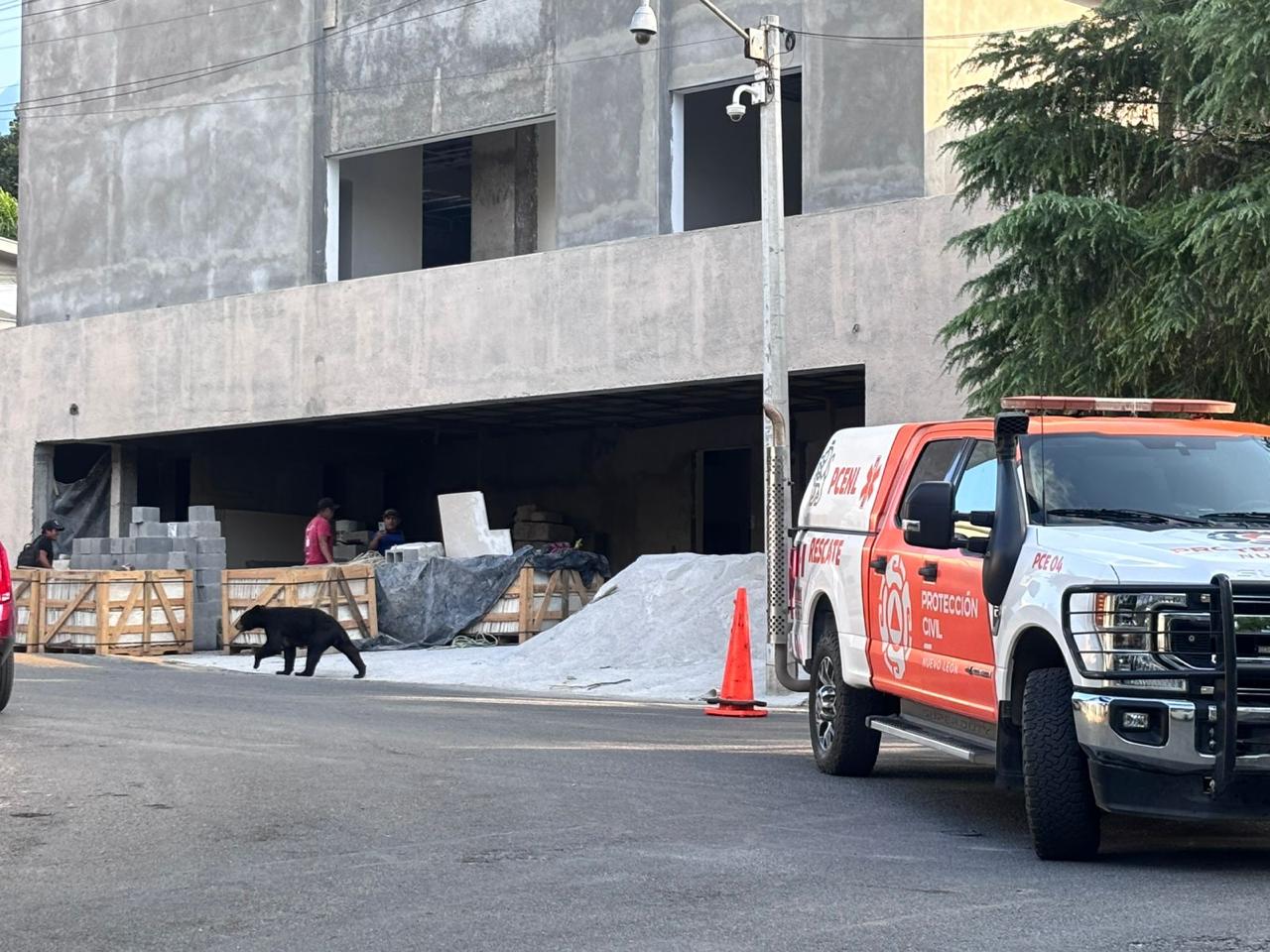 WhatsApp Image 2025-10-17 at 7.33.46 PM.jpeg