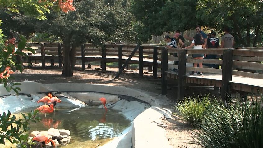 WhatsApp Image 2025-10-18 at 5.07.09 PM (2).jpeg