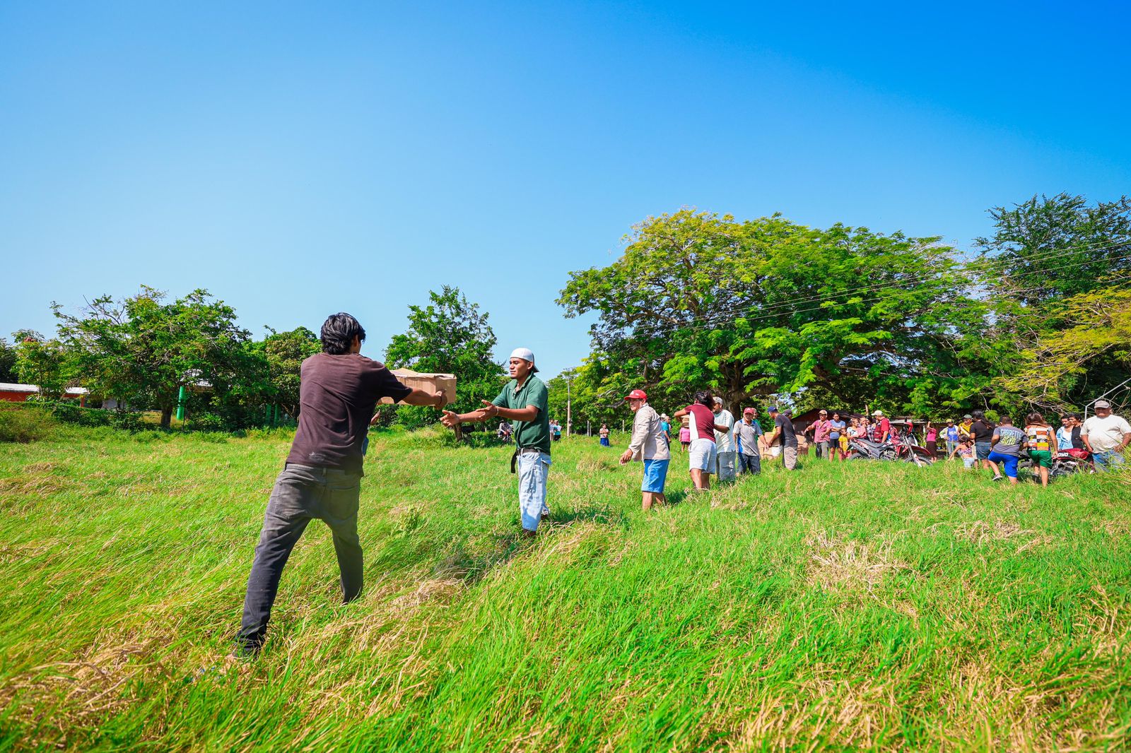 WhatsApp Image 2025-10-18 at 9.29.16 PM.jpeg