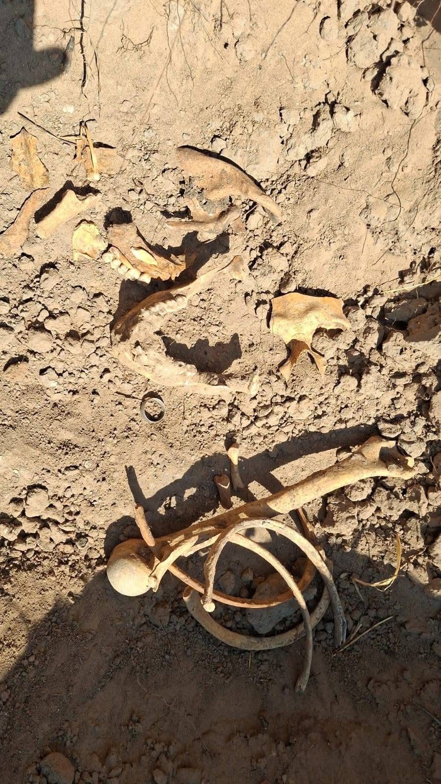 WhatsApp Image 2025-10-20 at 3.49.10 PM.jpeg