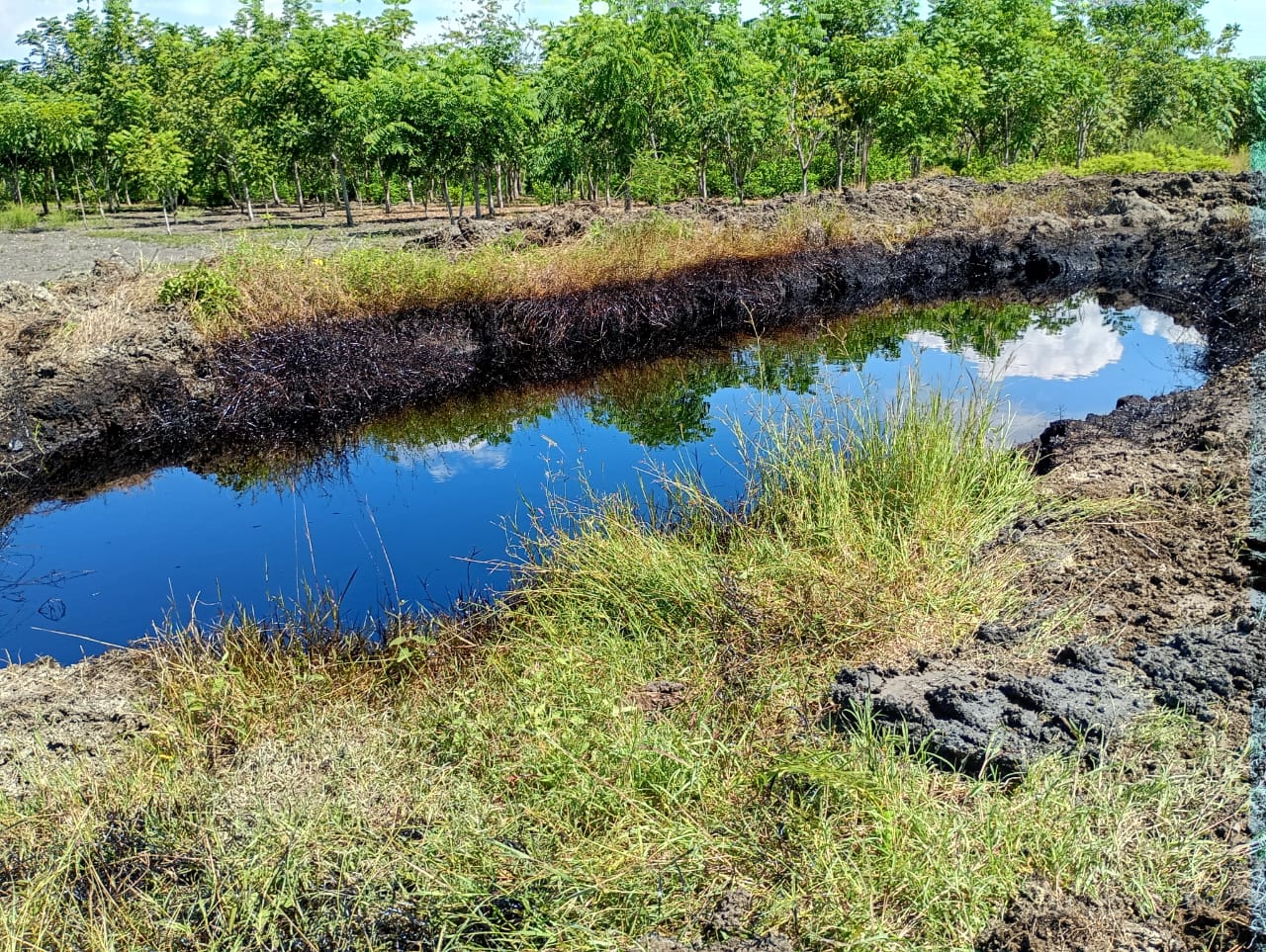 WhatsApp Image 2025-10-20 at 5.19.00 PM (1).jpeg