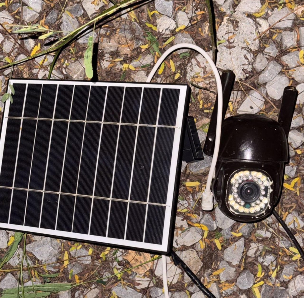 WhatsApp Image 2025-10-21 at 9.09.52 PM.jpeg