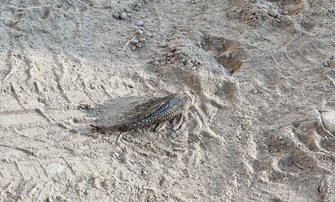 WhatsApp Image 2025-10-22 at 4.58.27 PM (1).jpeg