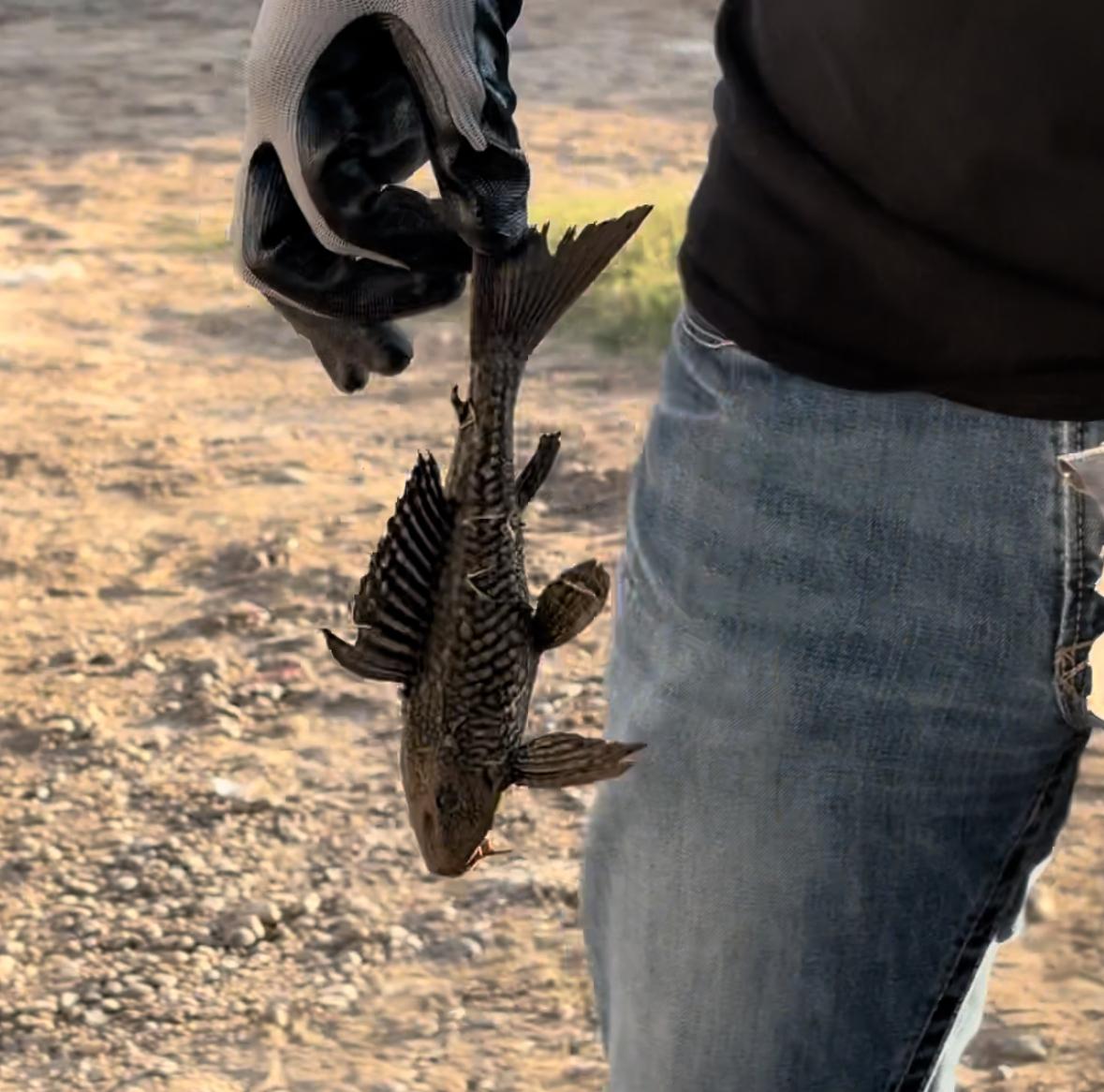 WhatsApp Image 2025-10-22 at 4.58.27 PM (2).jpeg