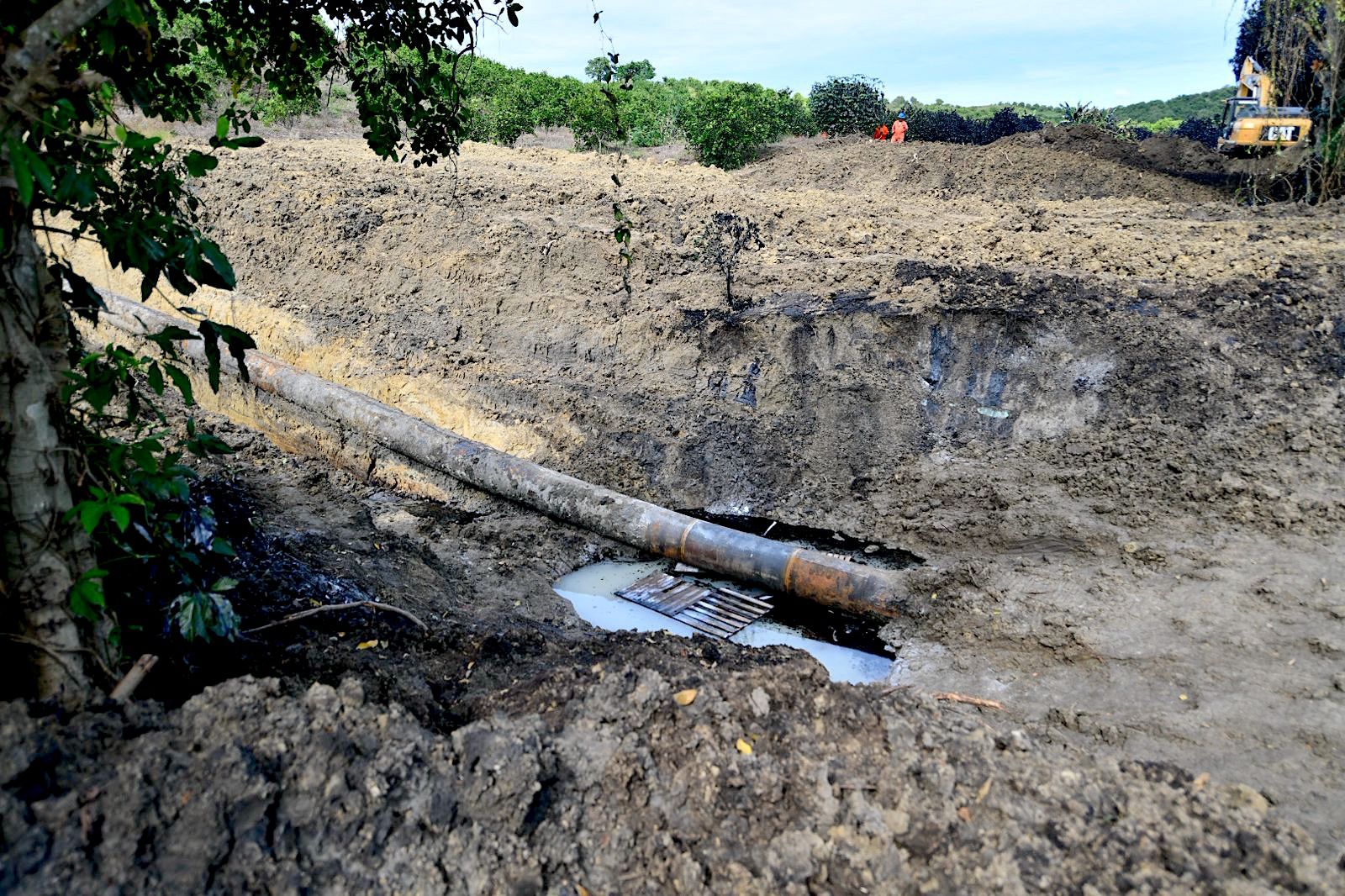 WhatsApp Image 2025-10-22 at 6.40.57 PM.jpeg