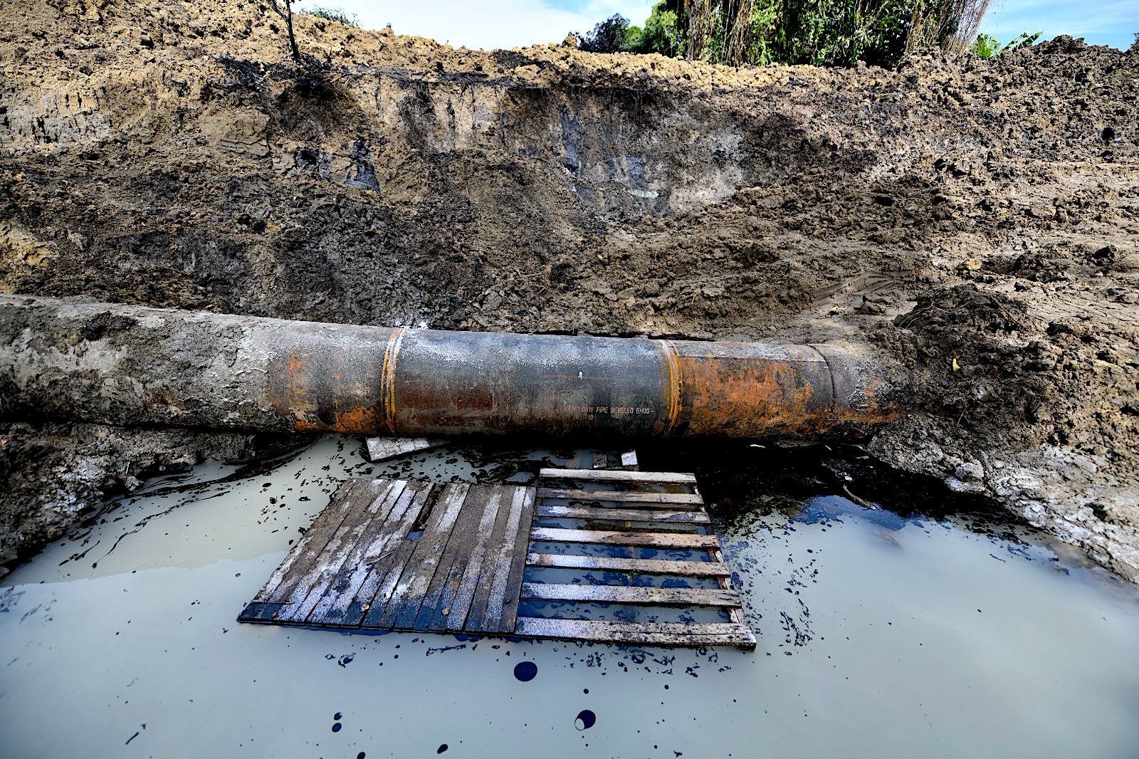 WhatsApp Image 2025-10-22 at 6.40.58 PM.jpeg