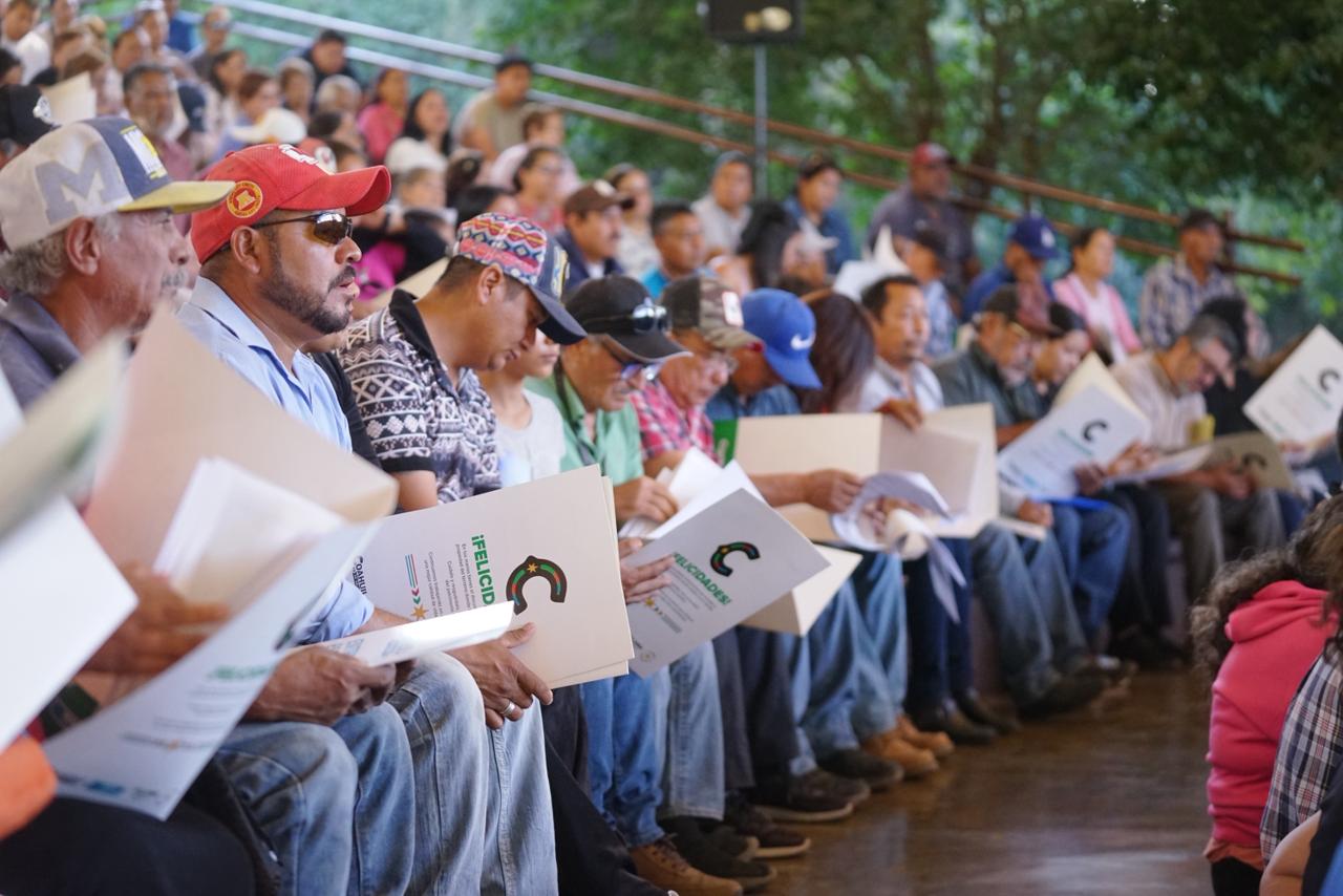 WhatsApp Image 2025-10-22 at 7.13.25 PM.jpeg