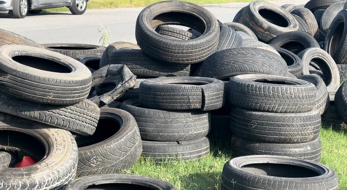 WhatsApp Image 2025-10-23 at 5.59.50 PM (1).jpeg