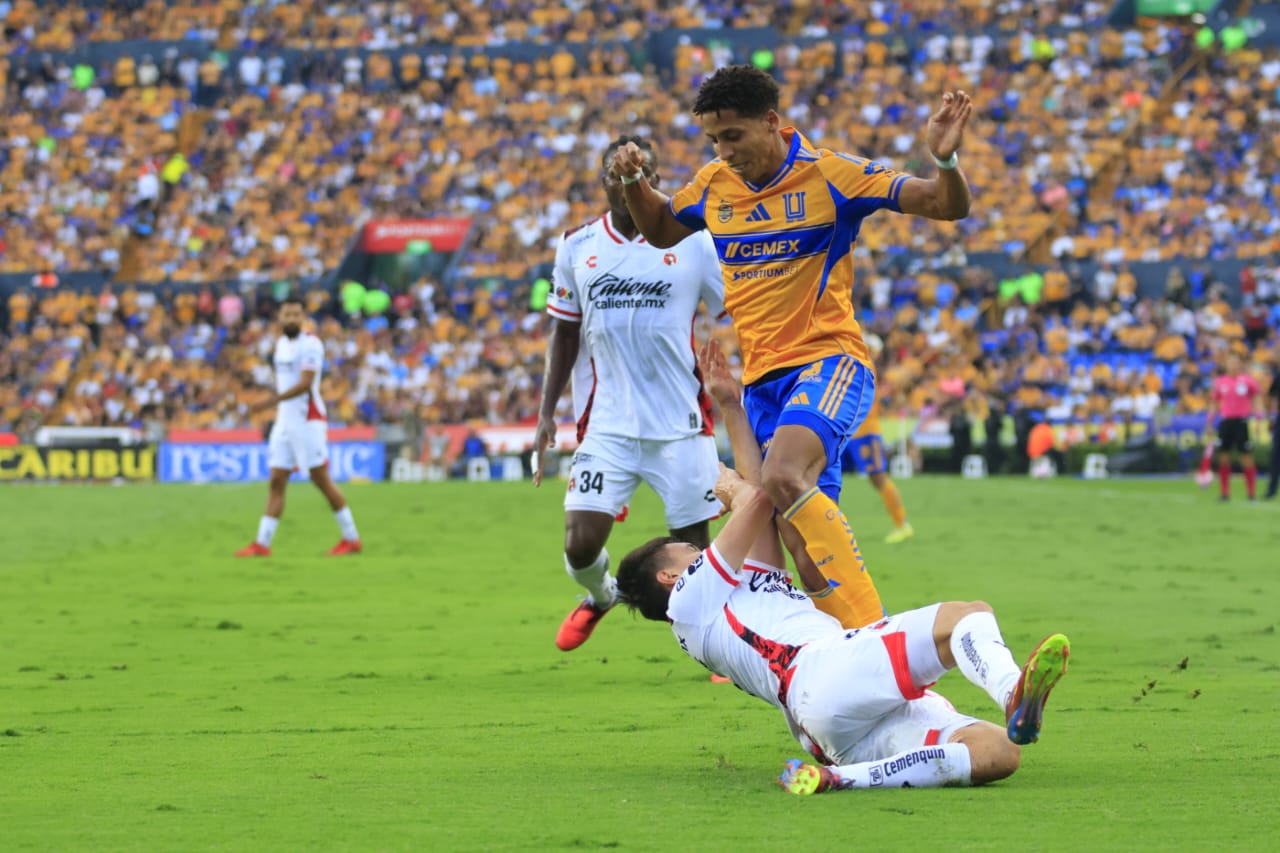 WhatsApp Image 2025-10-25 at 6.26.15 PM.jpeg