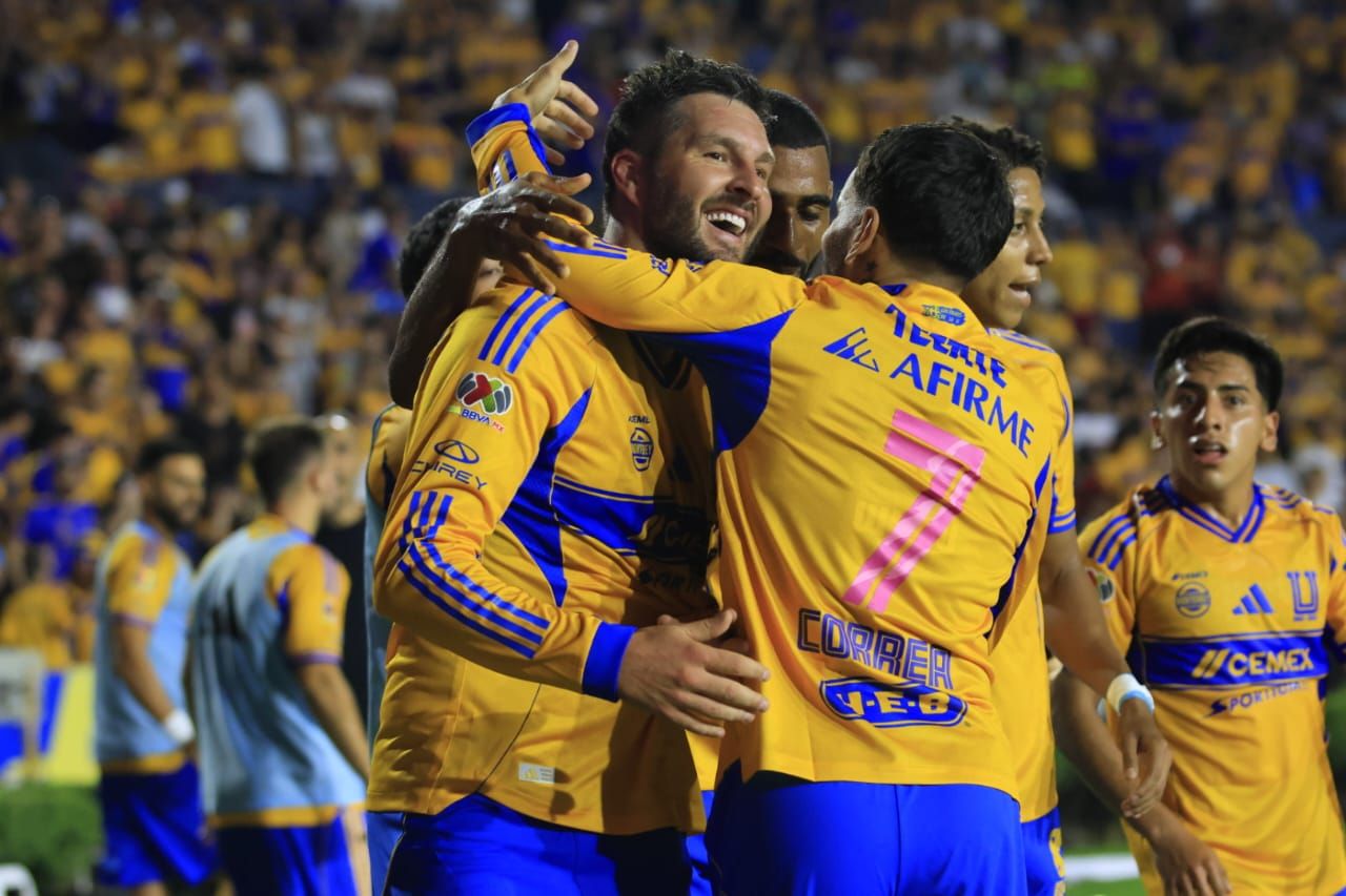 WhatsApp Image 2025-10-25 at 6.37.22 PM.jpeg