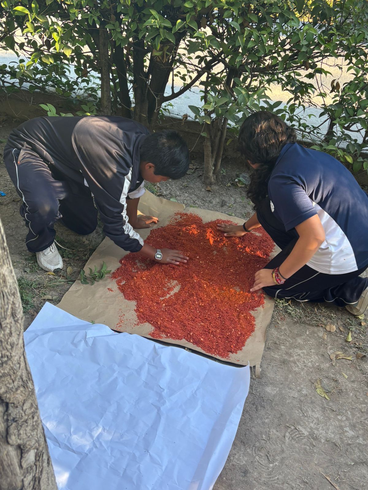 WhatsApp Image 2025-10-27 at 3.09.49 PM (3).jpeg