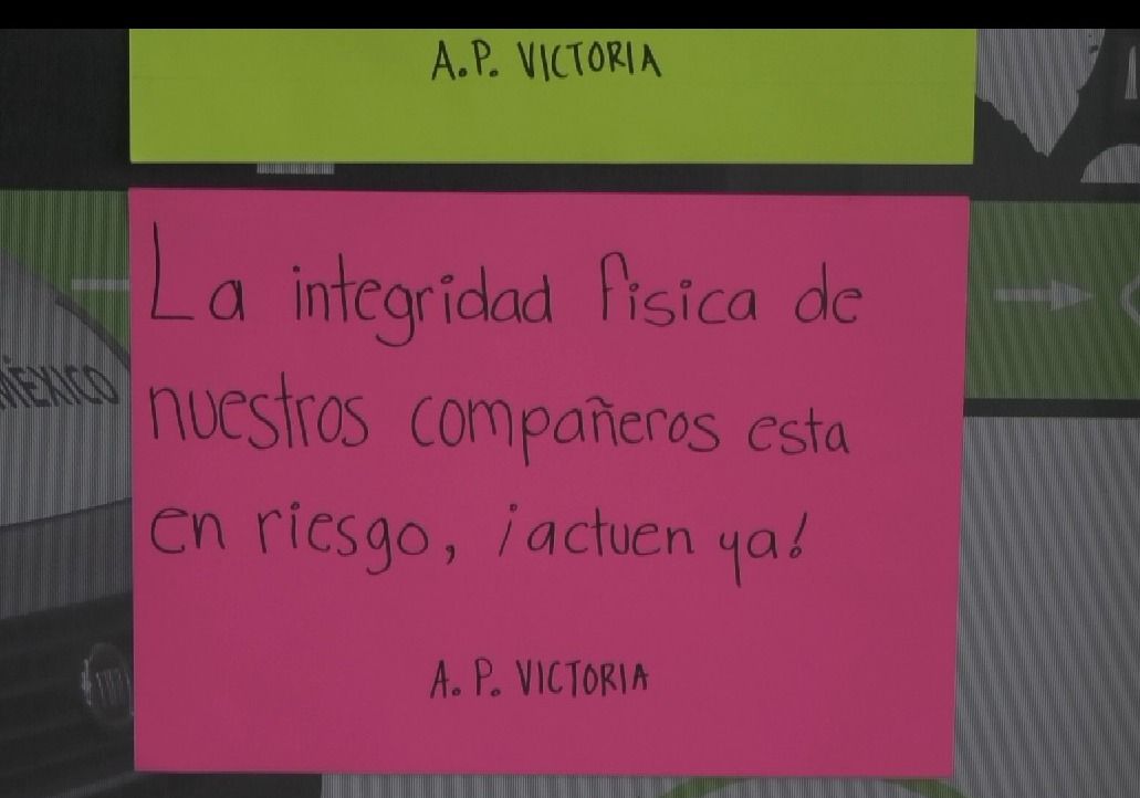 WhatsApp Image 2025-10-29 at 3.24.18 PM.jpeg