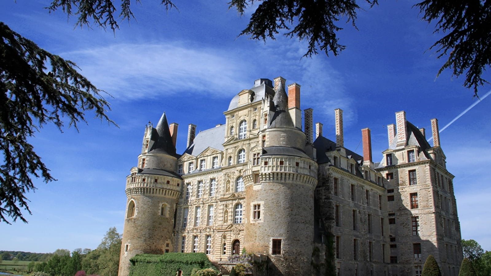 WhatsApp Image 2025-10-30 at 2.24.39 PM.jpeg