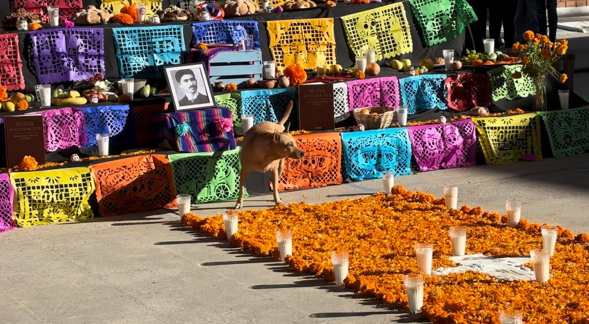 WhatsApp Image 2025-10-30 at 6.38.42 PM (2).jpeg