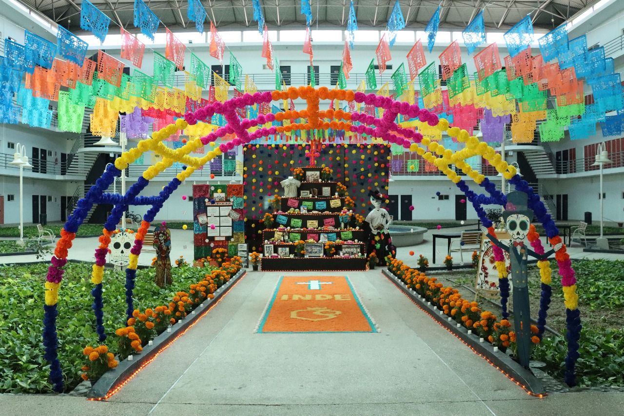 WhatsApp Image 2025-10-31 at 5.33.05 PM (1).jpeg