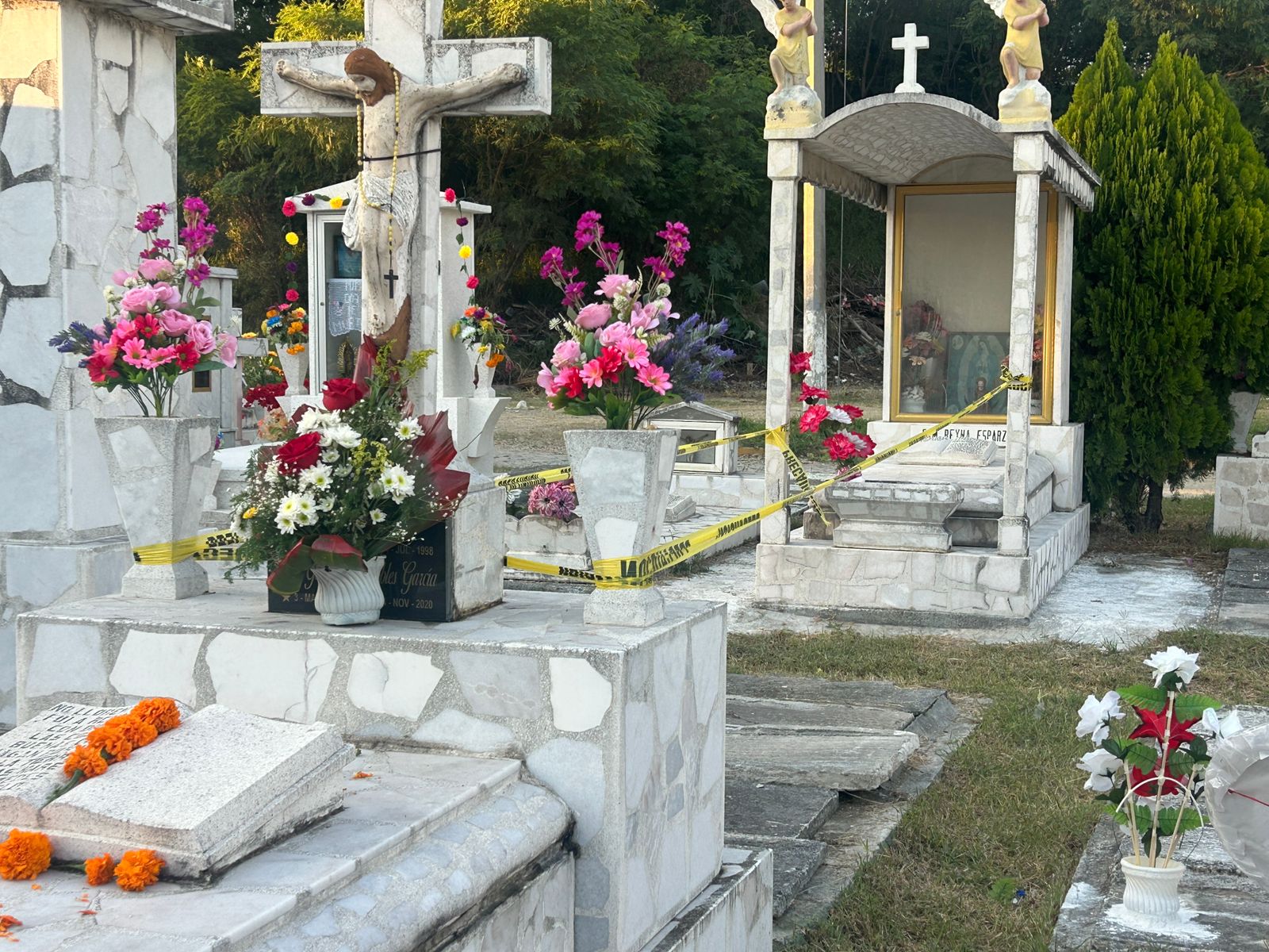 WhatsApp Image 2025-11-02 at 5.50.10 PM.jpeg