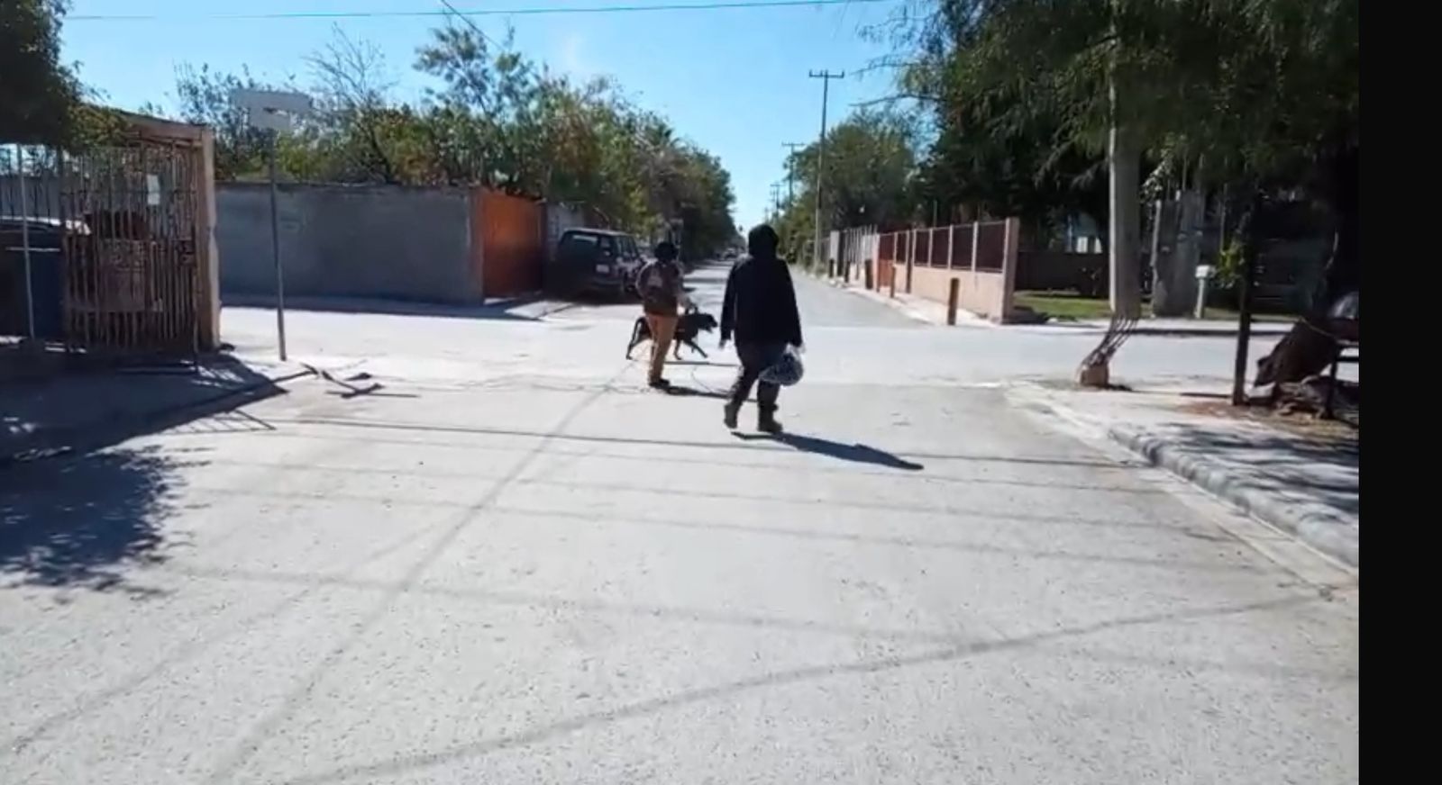 WhatsApp Image 2025-11-05 at 2.46.59 PM.jpeg