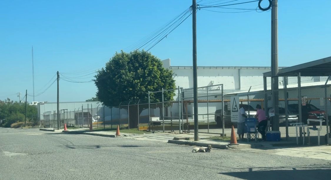 WhatsApp Image 2025-11-06 at 12.59.55 PM.jpeg