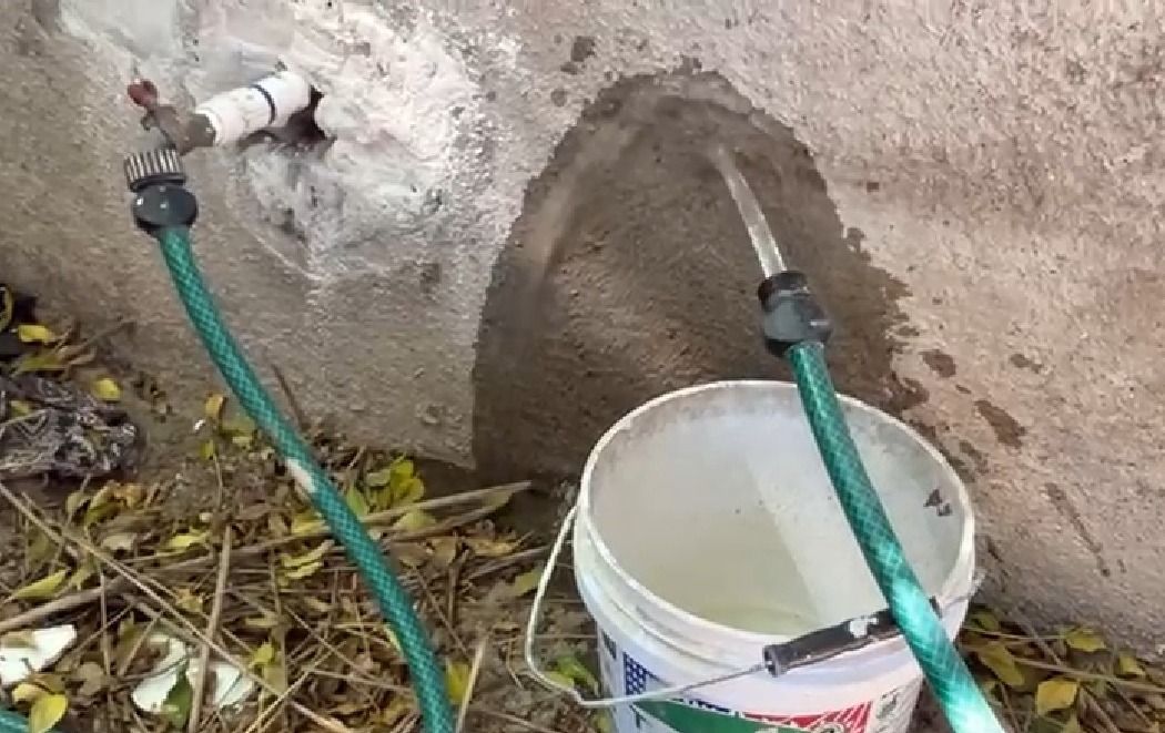 WhatsApp Image 2025-11-06 at 5.59.09 PM (1).jpeg