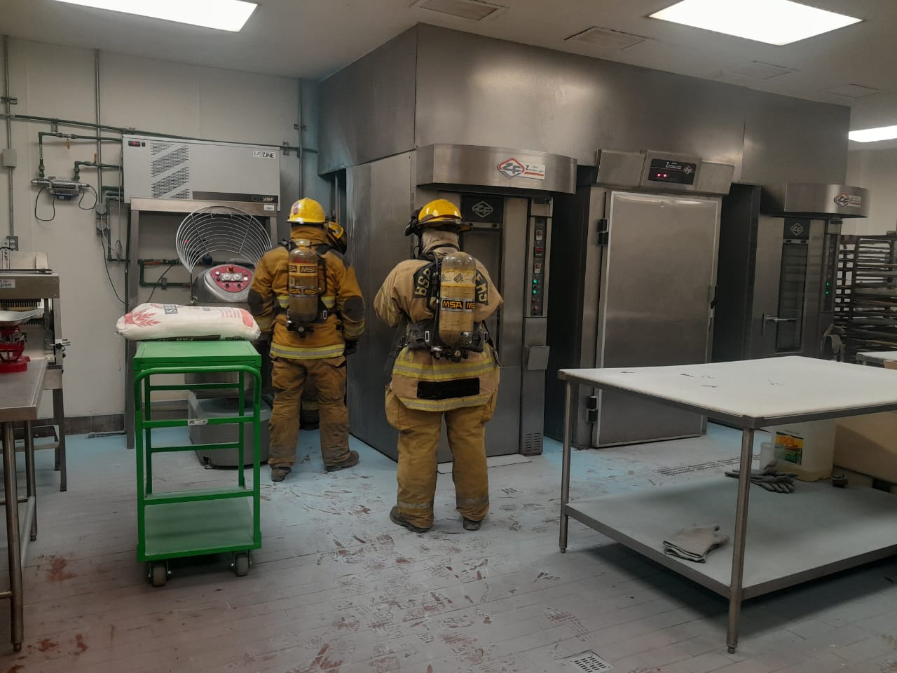 WhatsApp Image 2025-11-07 at 6.52.55 PM.jpeg