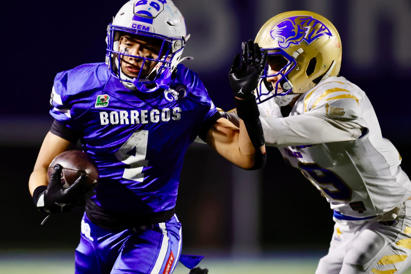 WhatsApp Image 2025-11-08 at 2.12.51 PM.jpeg