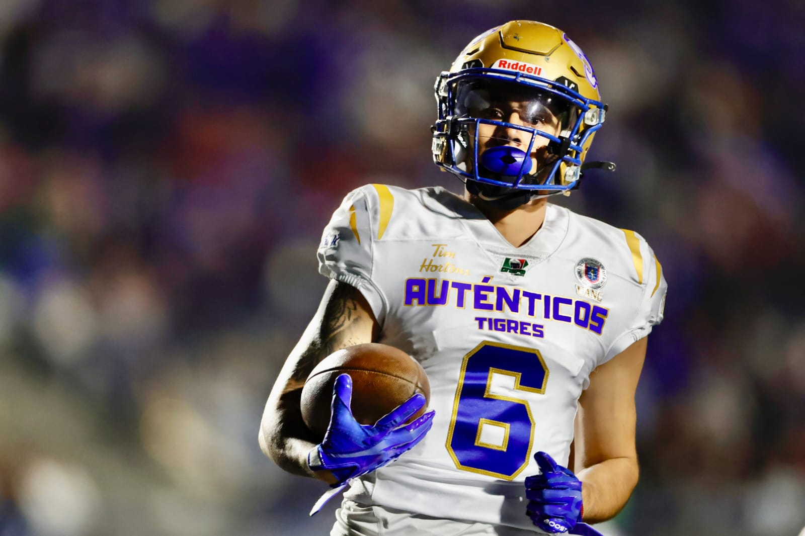 WhatsApp Image 2025-11-08 at 2.12.52 PM (1).jpeg