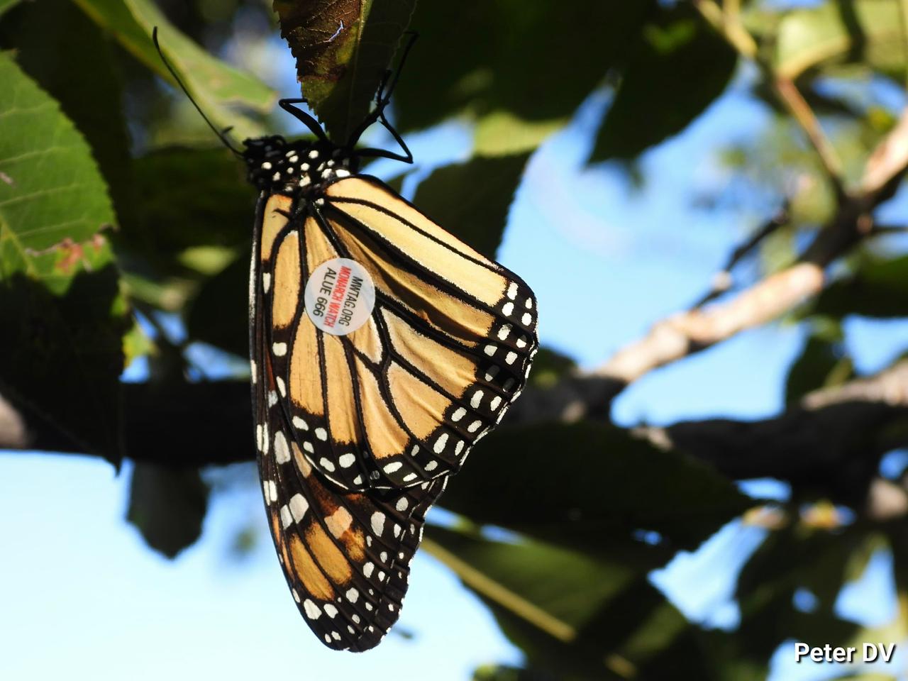 WhatsApp Image 2025-11-09 at 4.13.54 PM.jpeg