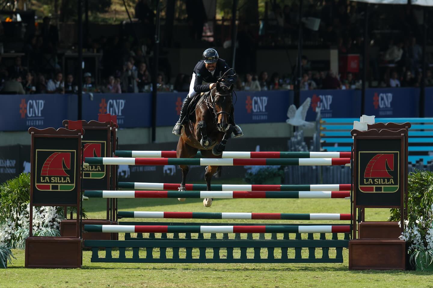 WhatsApp Image 2025-11-10 at 1.45.56 AM.jpeg