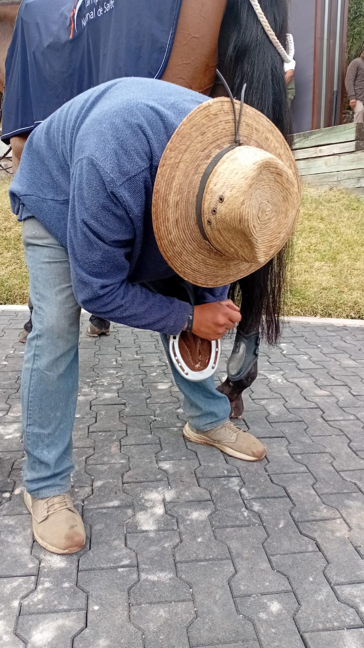 WhatsApp Image 2025-11-10 at 1.49.37 AM.jpeg