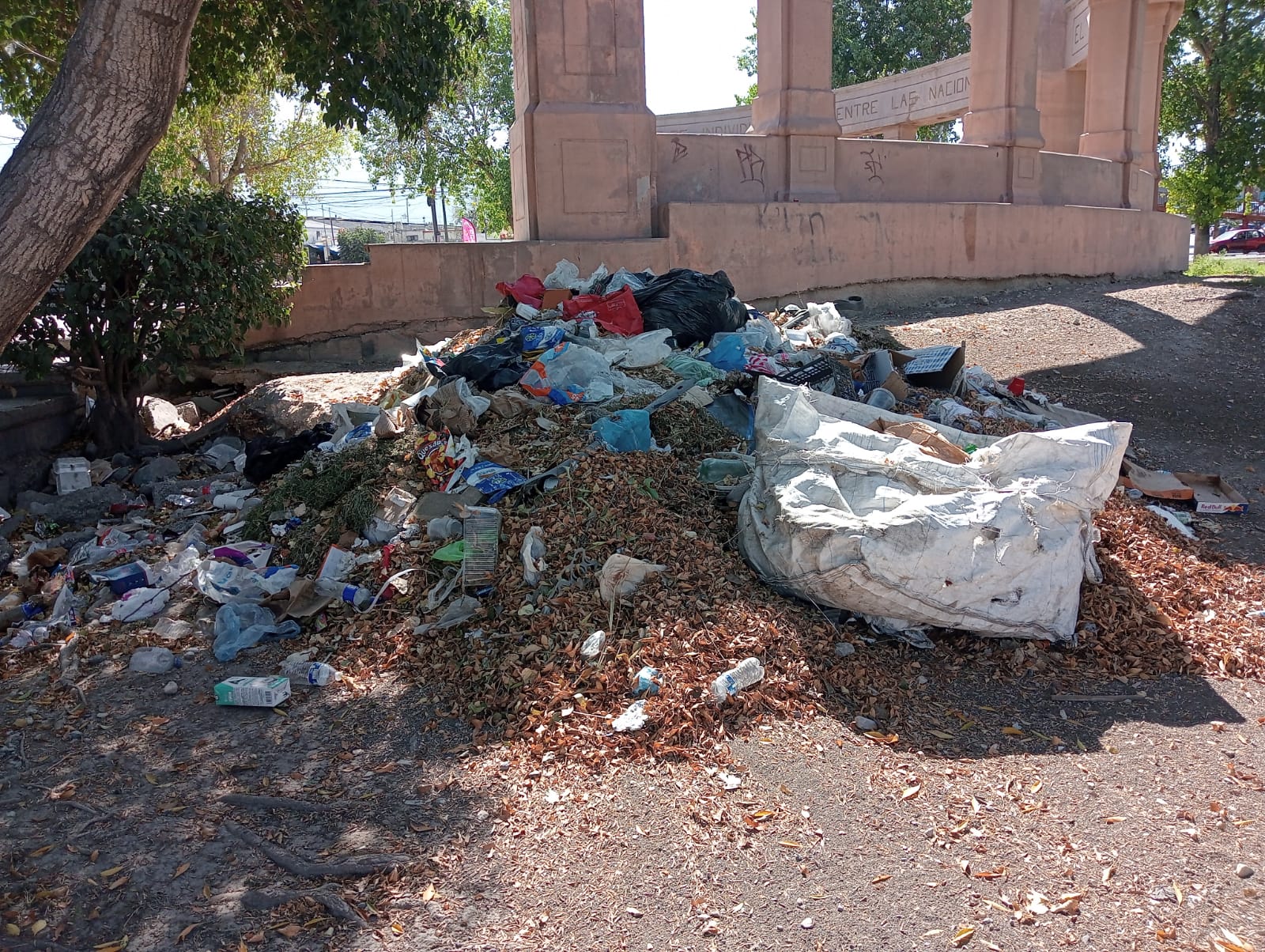 WhatsApp Image 2025-11-11 at 3.29.17 PM.jpeg