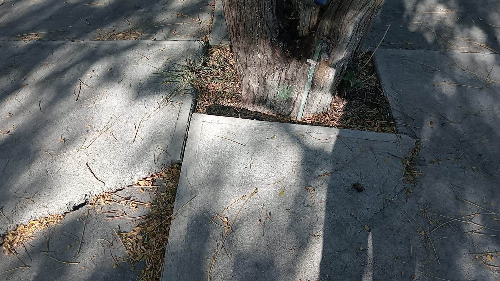 WhatsApp Image 2025-11-12 at 2.31.05 PM.jpeg