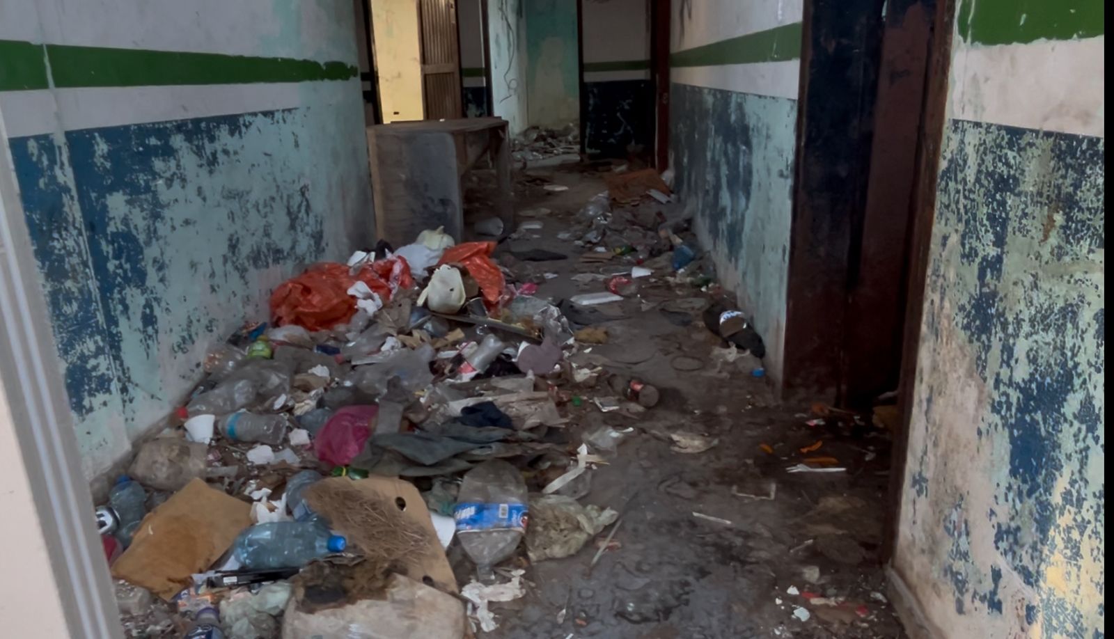 WhatsApp Image 2025-11-12 at 2.46.59 PM.jpeg