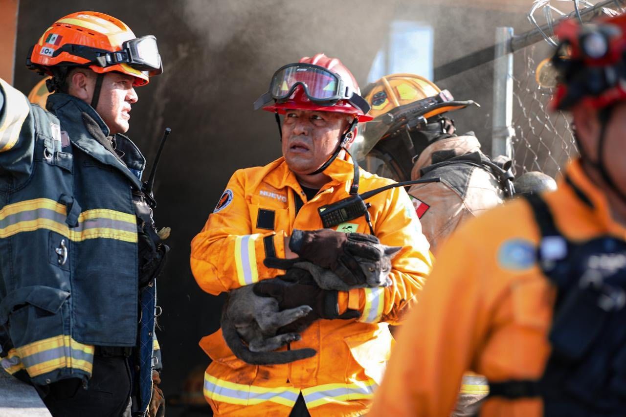 WhatsApp Image 2025-11-13 at 10.46.28 PM.jpeg