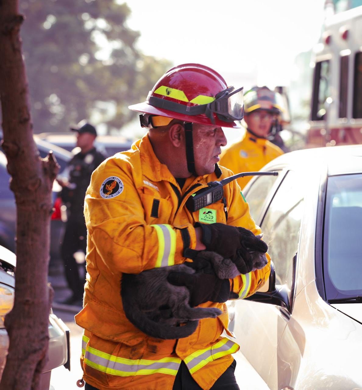 WhatsApp Image 2025-11-13 at 10.46.34 PM.jpeg