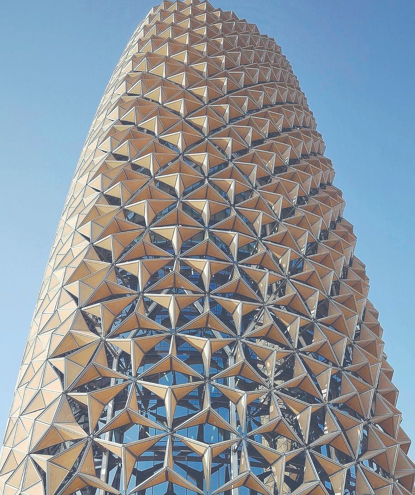 WhatsApp Image 2025-11-13 at 3.16.07 PM.jpeg