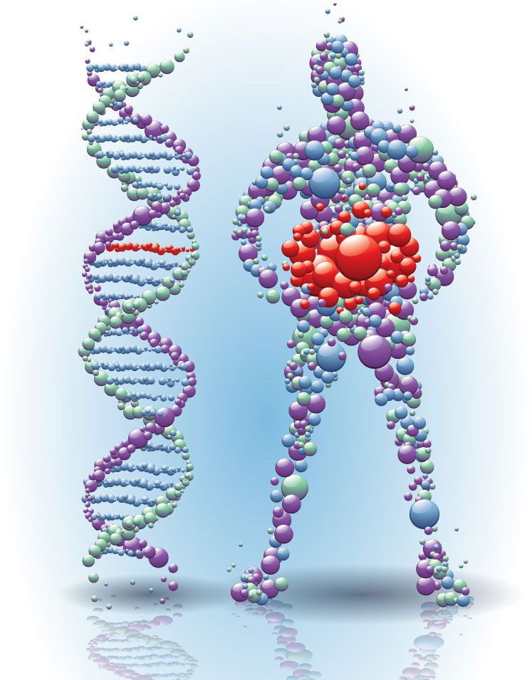 WhatsApp Image 2025-11-13 at 8.57.23 PM (2).jpeg